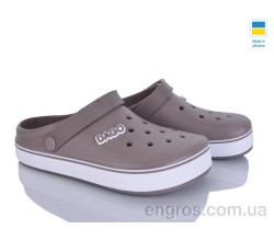 Кроксы Golden Lion